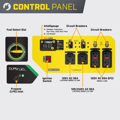 Image showing  10,625-Watt Electric Start Dual Fuel Home Backup Portable Generator with CO Shield