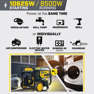 Image showing  10,625-Watt Electric Start Dual Fuel Home Backup Portable Generator with CO Shield