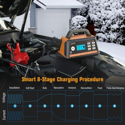 Image showing  2/10/25A 12V Car Battery Charger