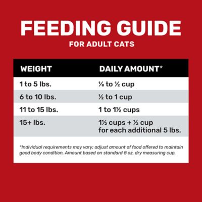 Image showing  Multi-Cat Fish Flavor Dry Cat Food