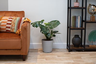 Image showing  10 in. Assorted Foliage