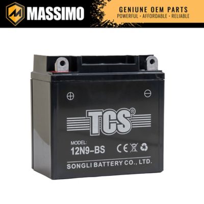 Massimo Mini 125 Battery for 2024 Plus Models