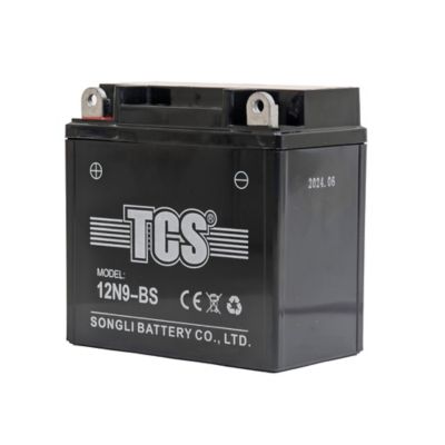 Image showing  Mini 125 Battery for 2024 Plus Models