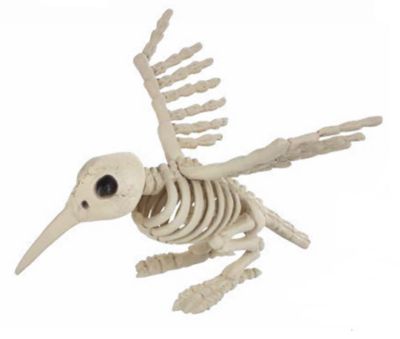 Red Shed 5 in. Hummingbird Skeleton