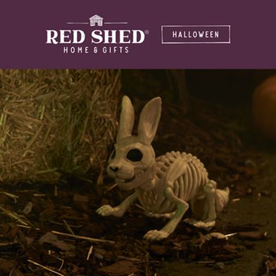 Image showing  12.5 in. Bunny Skeleton