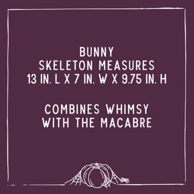 Image showing  12.5 in. Bunny Skeleton