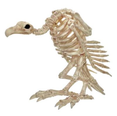 Red Shed 10 in. Vulture Skeleton