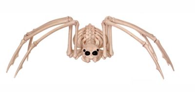 Red Shed 40.5 in. Spider Skeleton