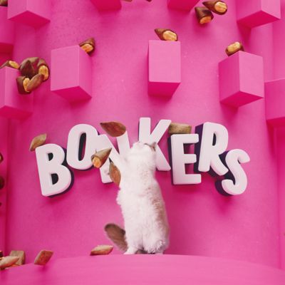 Image showing 7 th Bonkers Bites Cat Treat Catnip, ChickN & Cheddar, 16 oz.