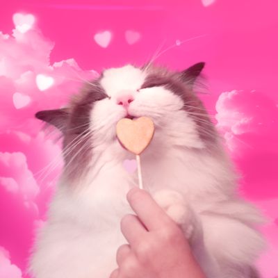 Image showing 7 th Bonkers Purrpops Cat Treat Freeze Dried Tip Top Tuna, 4 pk.