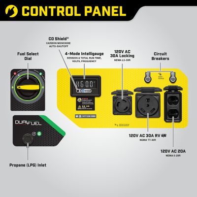 Image showing  4550-Watt Dual Fuel RV Ready Portable Generator with CO Shield, 200970