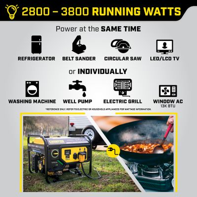Image showing  4550-Watt Dual Fuel RV Ready Portable Generator with CO Shield, 200970