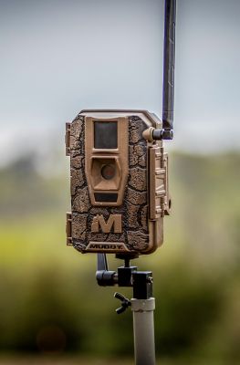 Image showing 5 th Muddy Mitigator 2.0 Combo Two Pack Cellular Trail Cams