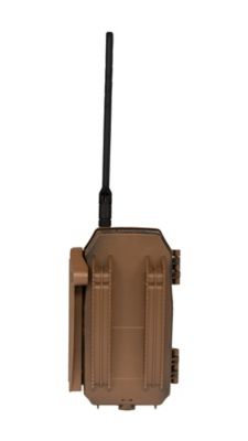 Image showing  Trifecta 180 Trail Camera