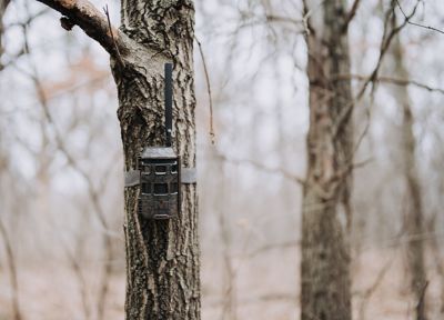 Image showing 6 th Muddy Trifecta 180 Trail Camera