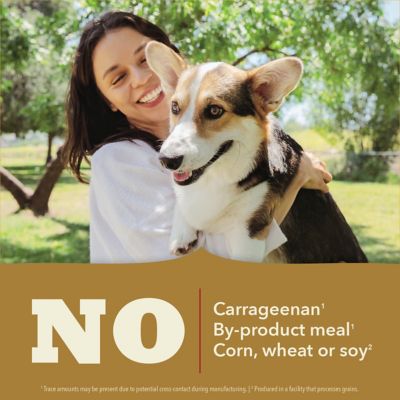 Image showing 6 th ACANA Classics Adult Poultry Recipe Pate Wet Dog Food, 12.5 oz.