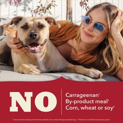 Image showing 6 th ACANA Classics Adult Beef Recipe Pate Wet Dog Food, 12.5 oz.