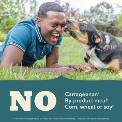 Image showing 6 th ACANA Classics Adult Fish Recipe Pate Wet Dog Food, 12.5 oz.