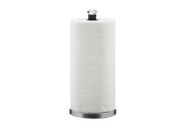 Image showing  Stainless Steel Paper Towel Holder