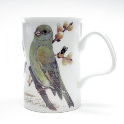 Image showing  Lancaster Mug - Garden Birds Set of 2, Green Color Bone China Ceramic Made in England