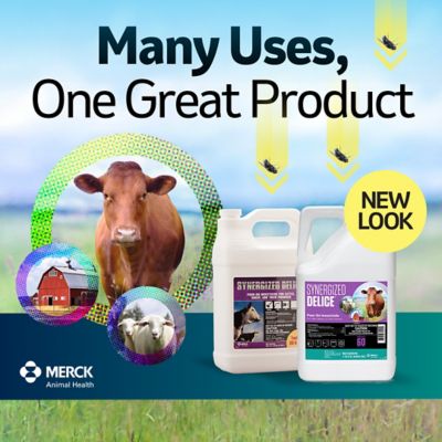 Image showing  Synergized Delice 1.32 Gallon