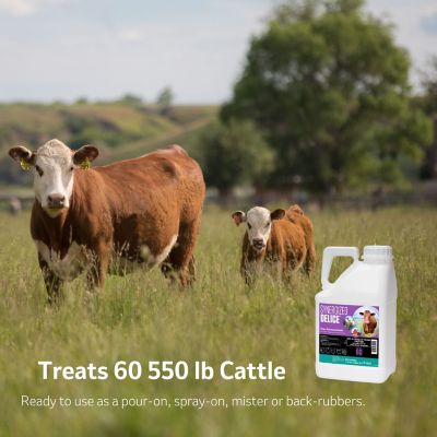 Image showing  Synergized Delice 1.32 Gallon