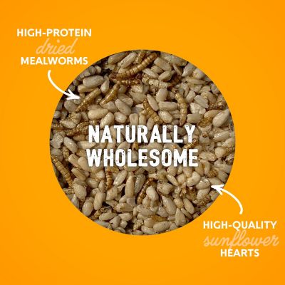 Image showing  Home Fresh Sunny Mealworm Premium Poultry Bar