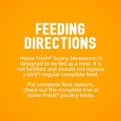Image showing  Home Fresh Sunny Mealworm Premium Poultry Bar