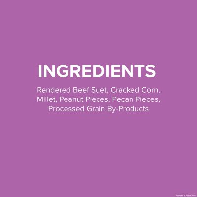 Image showing  Peanuts & Pecans Suet