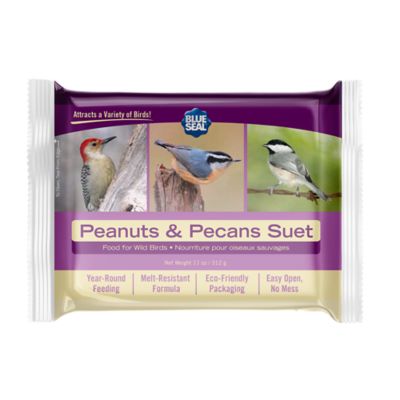 Image showing  Peanuts & Pecans Suet