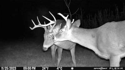 Image showing 9 th SPYPOINT Solar Bundle Flex M SPLB-10 Game Camera Accessory