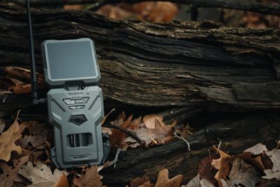 Image showing 7 th SPYPOINT 40 MP Flex S Dark Cellular Game Camera