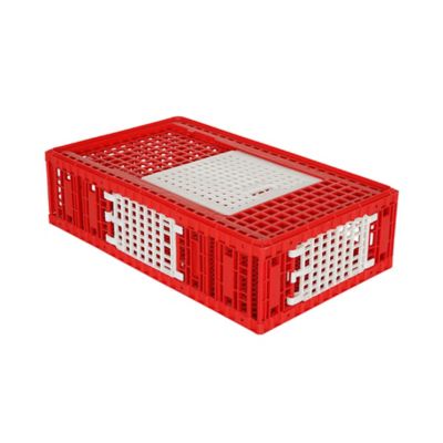 Image showing  3 Door Large Poultry Transport Coop for Chicken