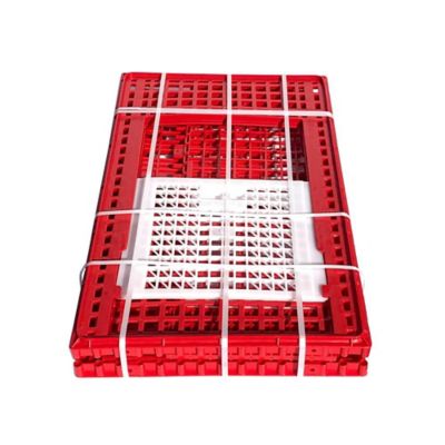 Image showing  3 Door Large Poultry Transport Coop for Turkey