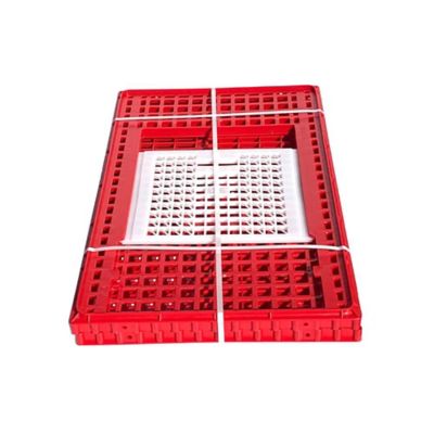 Image showing  Top Door Large Poultry Transport Coop for Chicken