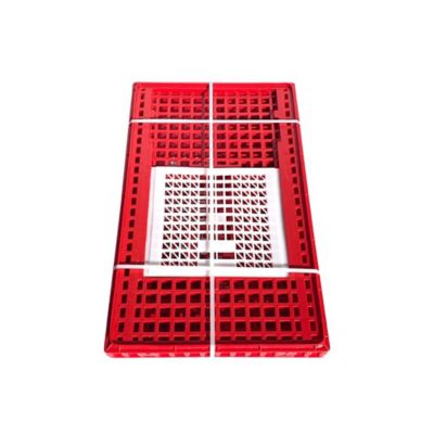 Image showing  Two Door Large Poultry Transport Coop for Chicken