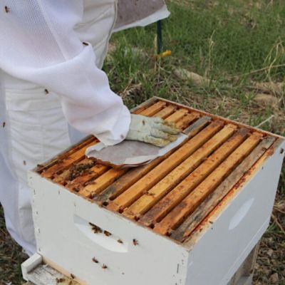 Image showing  Ultra Bee Bee Feed Pollen Substitute