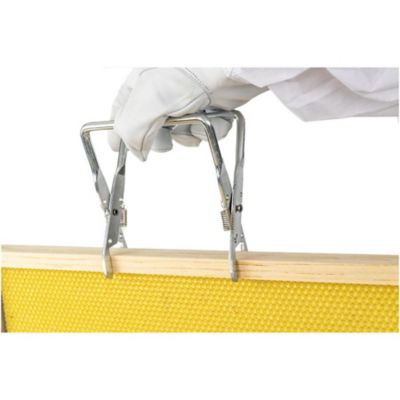 Image showing  Standard Frame Grabber