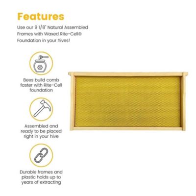 Image showing  Ready-Made Deep Beehive frames