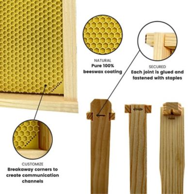 Image showing  Ready-Made Deep Beehive frames