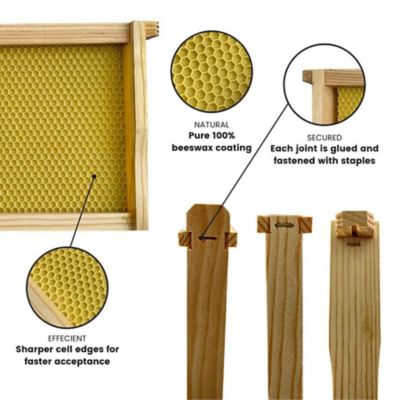 Image showing  Ready-Made Medium Beehive frames
