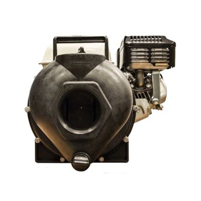 Image showing  Transfer Pump, 300PH-6-200E.BAN