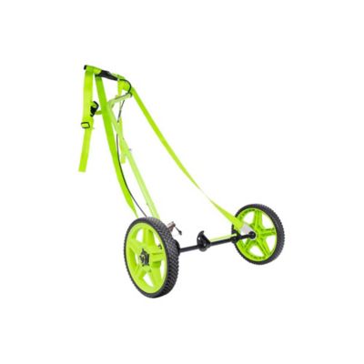 Image showing  EZ Kart