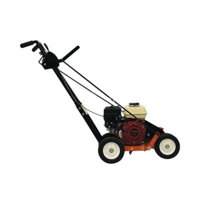Image showing  10 in. 118cc Gas Edger, BRPE105H