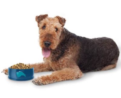 Image showing  Tender Shreds Chicken in Savory Broth Dog Food Topper, 2.5 oz.