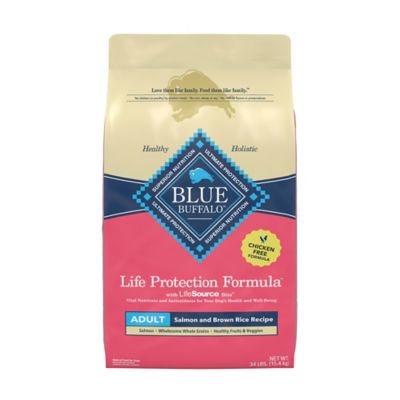 Blue Buffalo Life Protection Formula Adult Salmon and Brown Rice Recipe Dry Dog Food