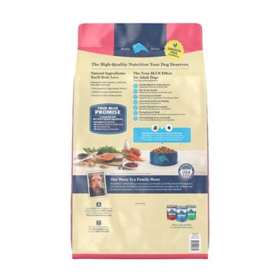 Image showing  Adult Salmon and Brown Rice Recipe Dry Dog Food