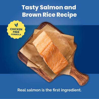 Image showing  Adult Salmon and Brown Rice Recipe Dry Dog Food