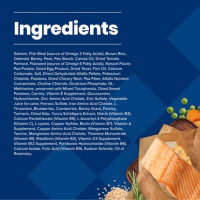 Image showing  Adult Salmon and Brown Rice Recipe Dry Dog Food