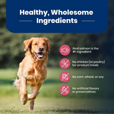 Image showing 5 th Blue Buffalo Life Protection Adult Salmon and Brown Rice Recipe Dry Dog Food